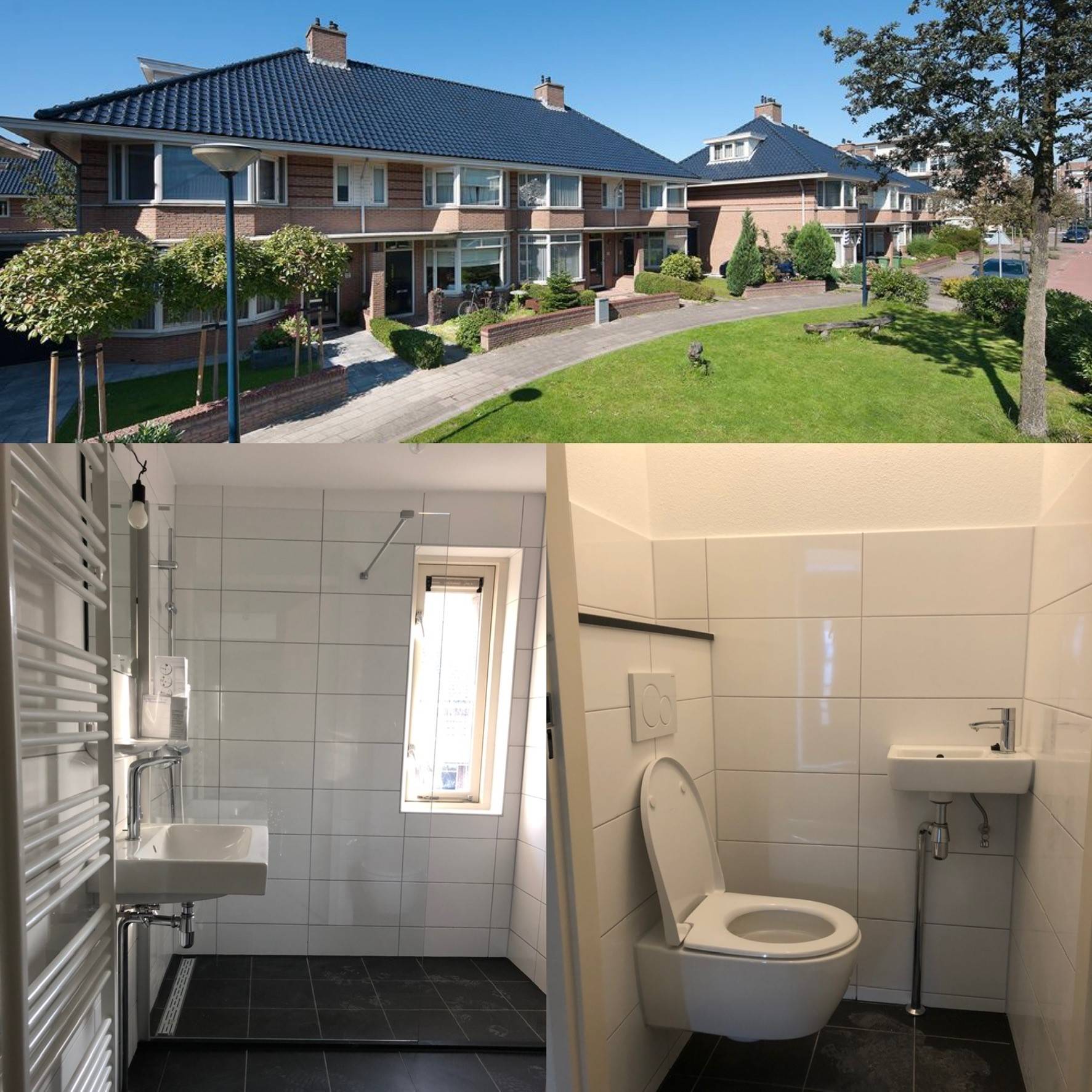 Renovatie & Nieuwbouw